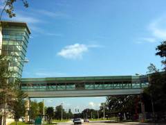 moffett-cancer-center-fl